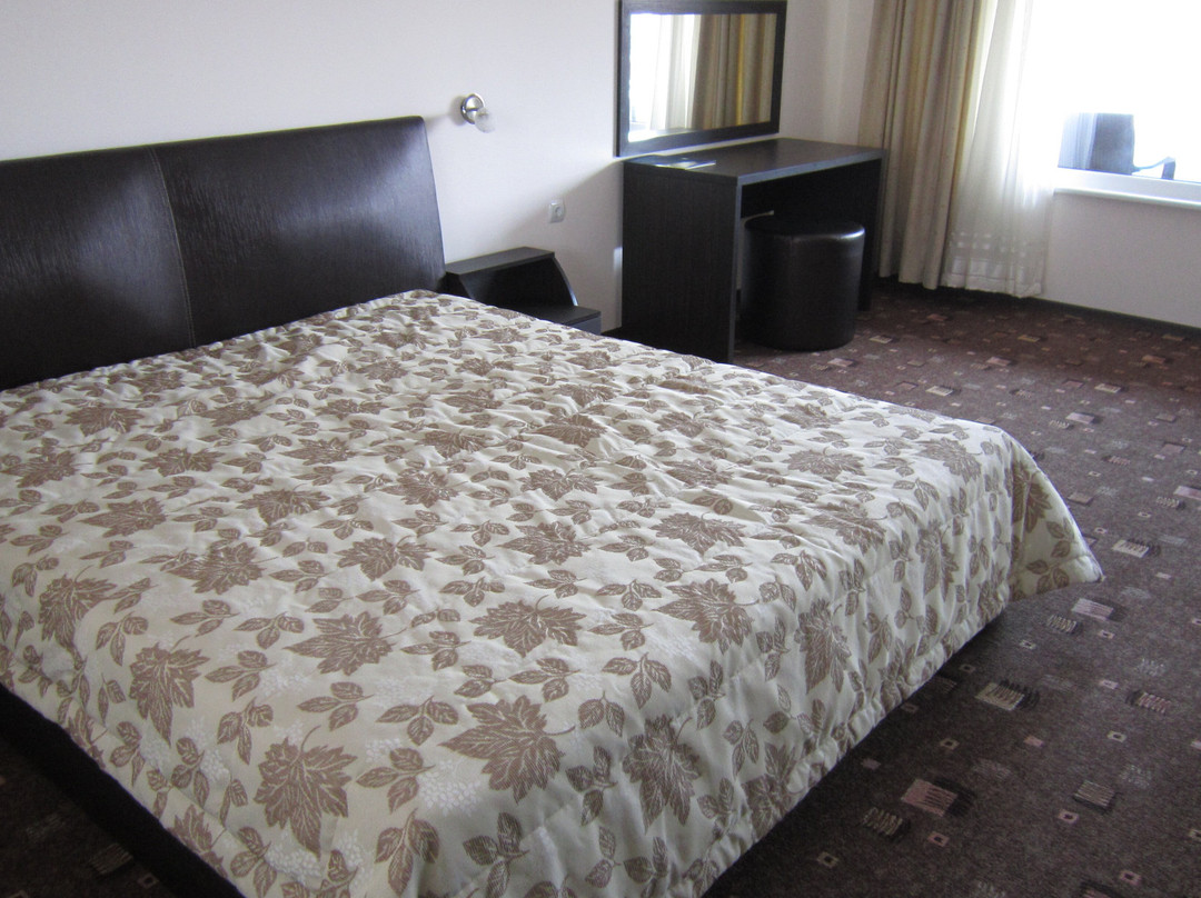 Hotel Alpina主图