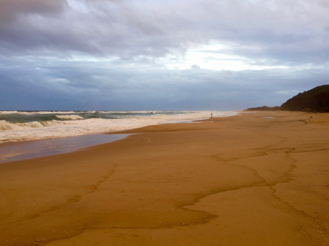 Point Ricardo Beach景点图片