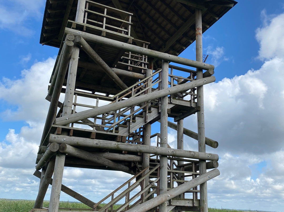 Liepaja lake watchtower景点图片