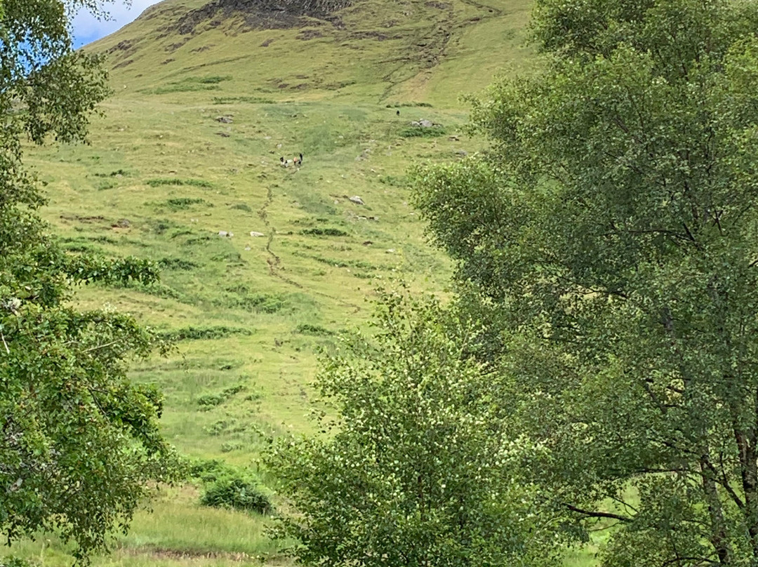 Dumgoyne and Earl's Seat-Killearn必去景点