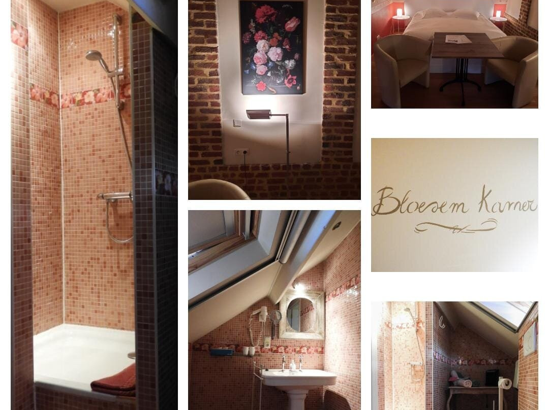 Vakantiewoning Kerkevelde主图