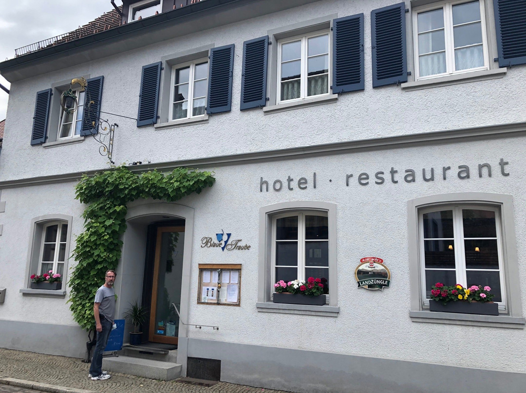 Hotel Blaue Traube主图