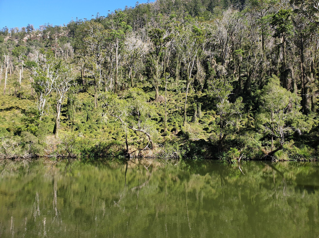 Yarramalong Park