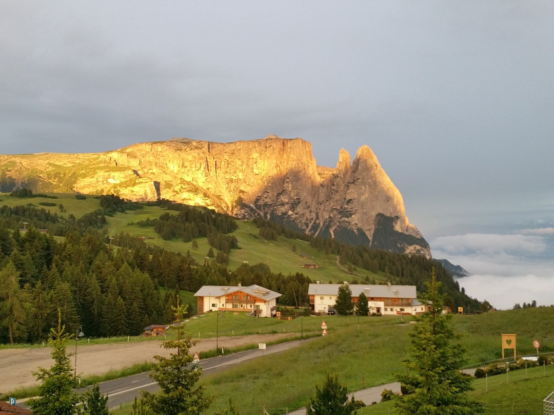 赛瑟阿尔姆尤塔勒酒店主图