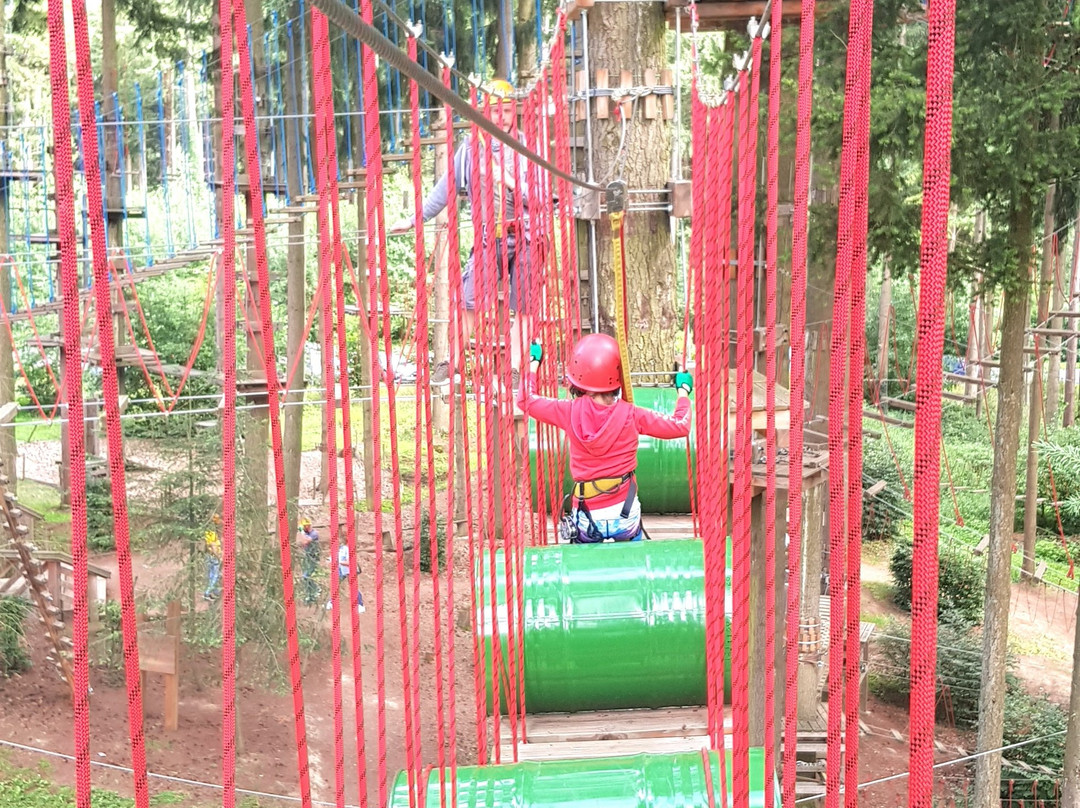 Adventureforest景点图片