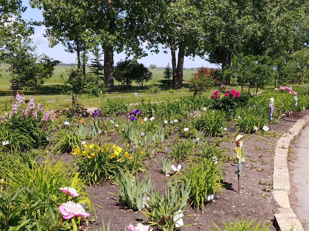 Beausejour Daylily Gardens-Beausejour必去景点