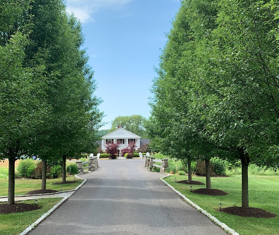 Sharon Country Inn主图