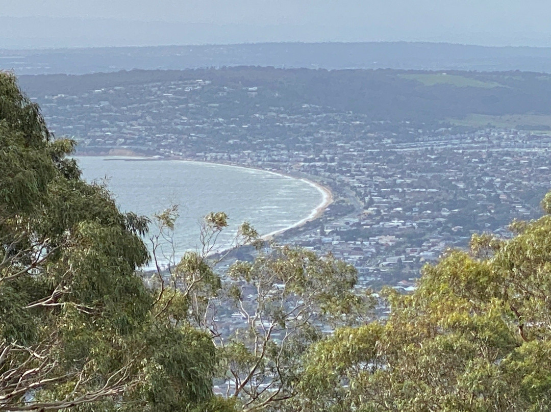 Arthurs Seat State Park景点图片