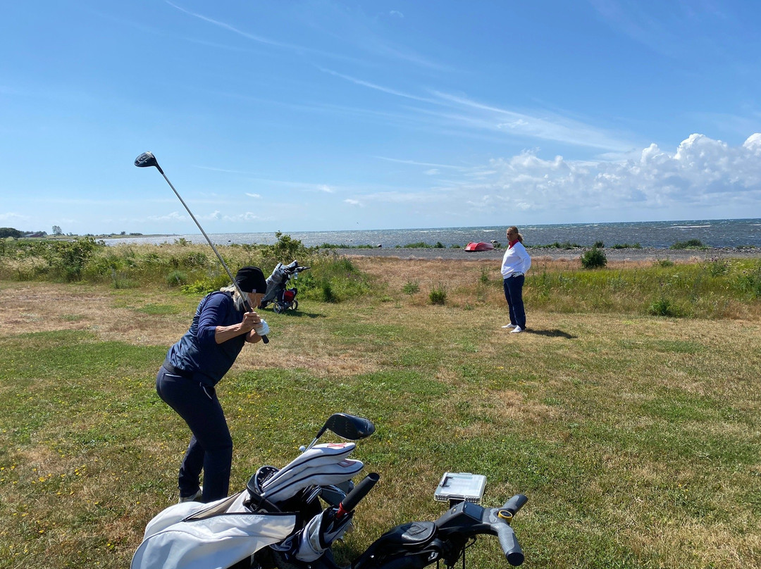 Gronhogen Golf Links主图