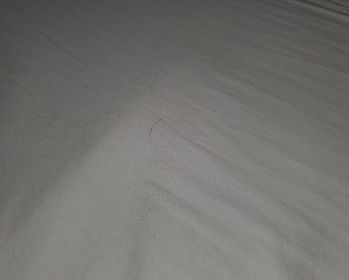 Extended Stay America - Piscataway - Rutgers University主图