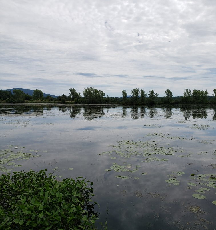 Centre d'Interprétation de la Nature du Lac Boivin景点图片