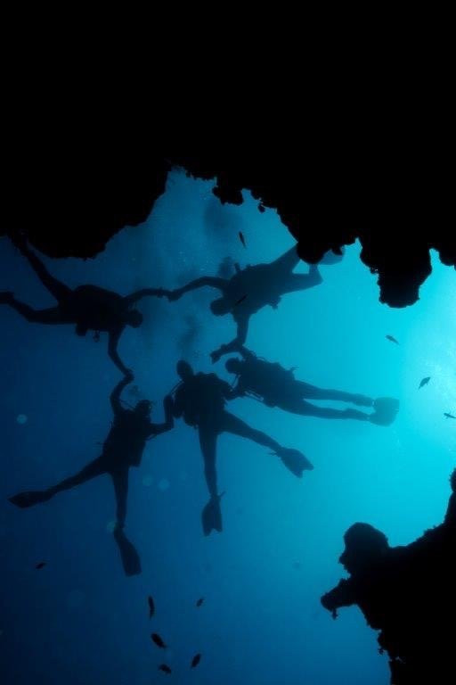 Krokodyle Diving Center景点图片