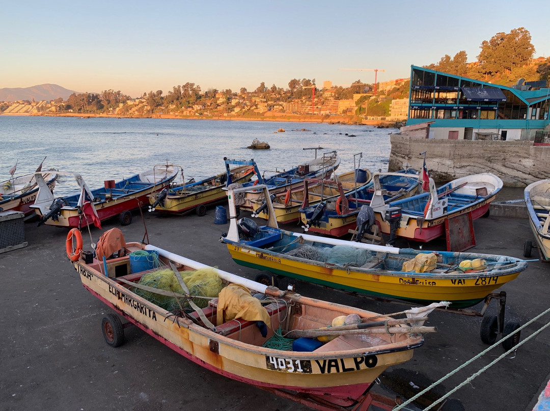 Caleta Higuerillas-比尼亚德尔马必去景点