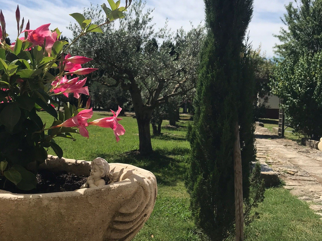 Le Mas des Chutes主图