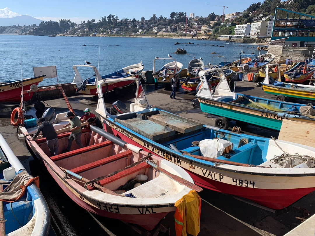 Caleta Higuerillas-比尼亚德尔马必去景点