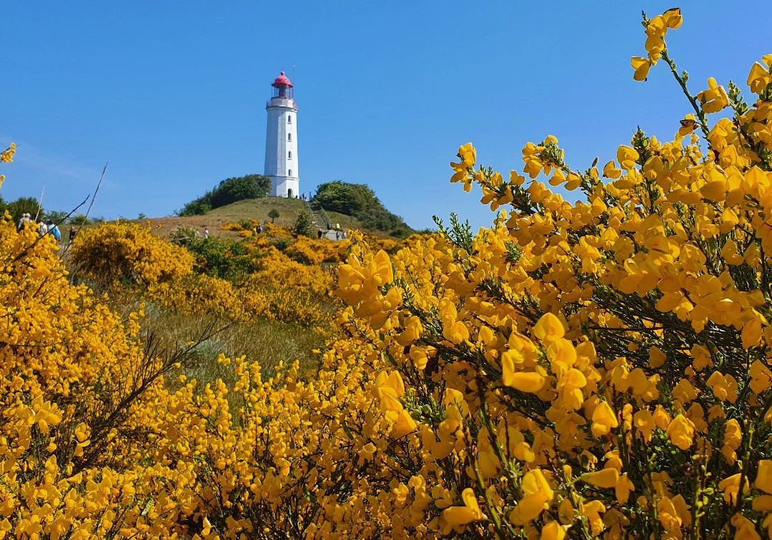 Dornbusch Lighthouse景点图片