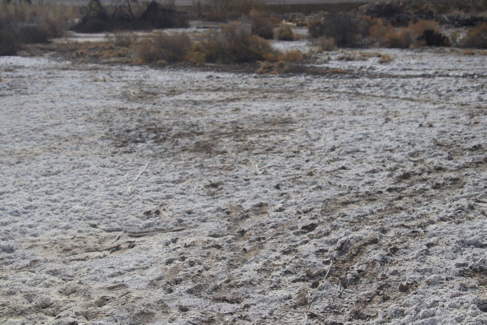 San Andres Trail-Salton City必去景点