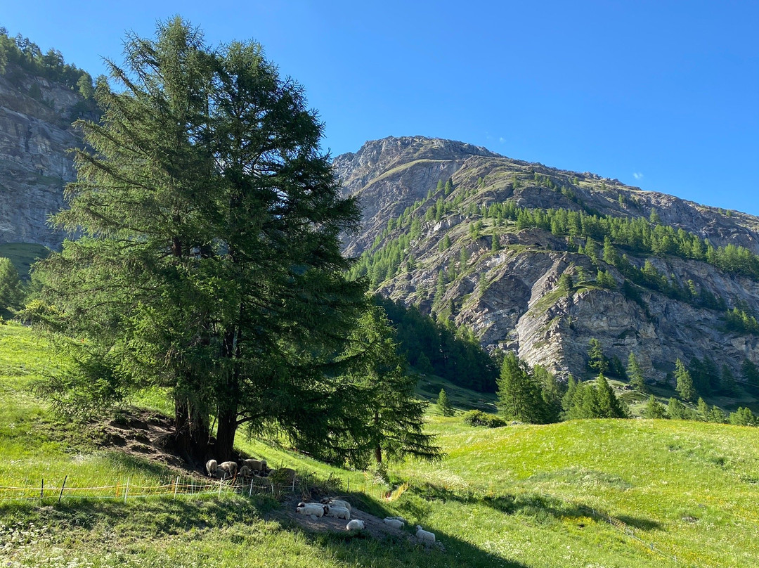 Edelweiss Trail-策马特必去景点