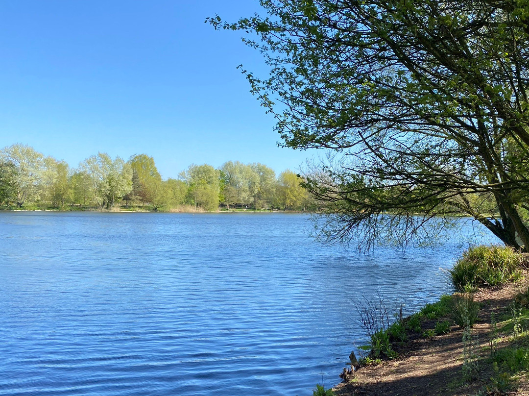 Needham Lake景点图片