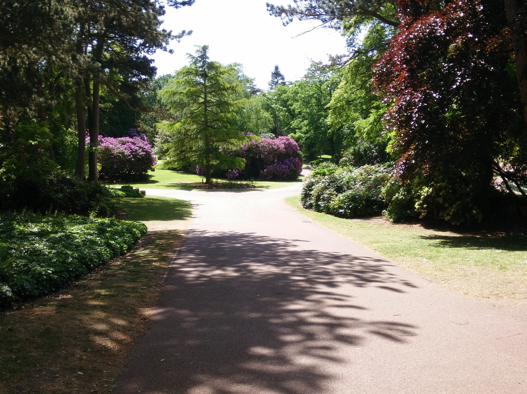 West Park, Wolverhampton景点图片