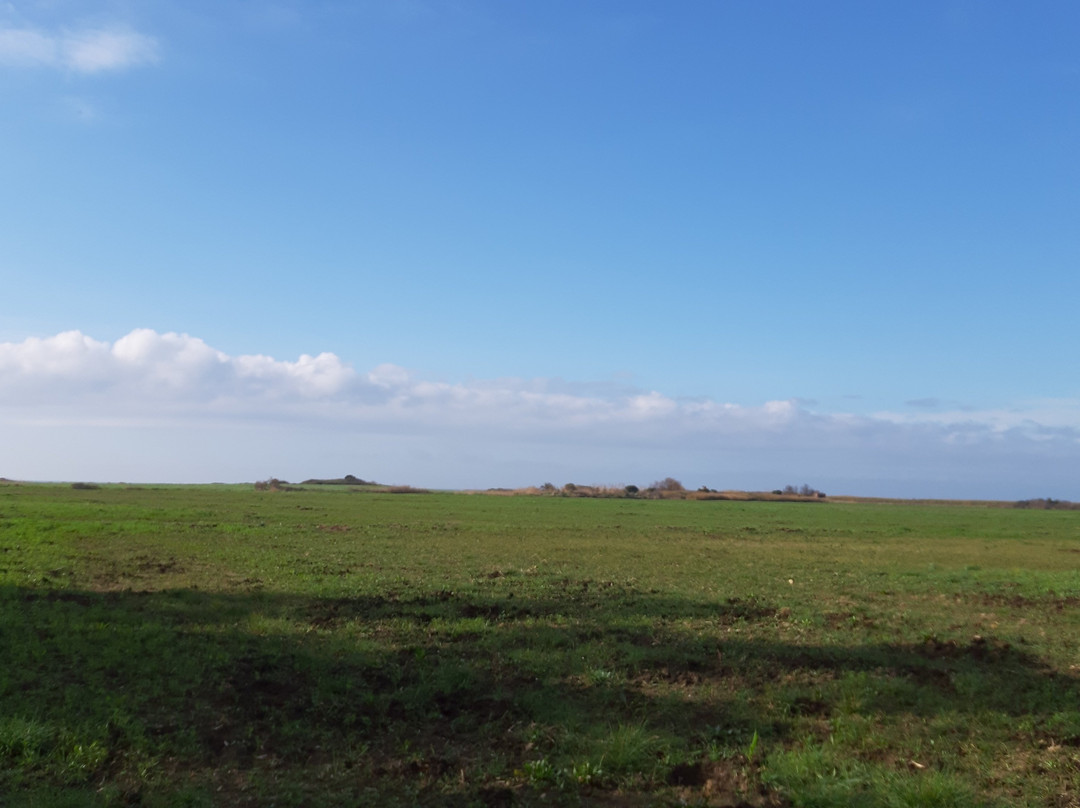 Riserva Naturale Regionale Macchiatonda-圣马里内拉必去景点