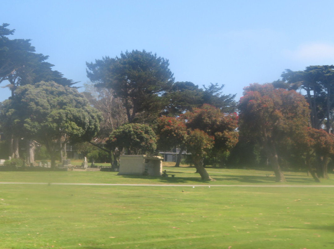 El Carmelo Cemetery-太平洋丛林镇必去景点