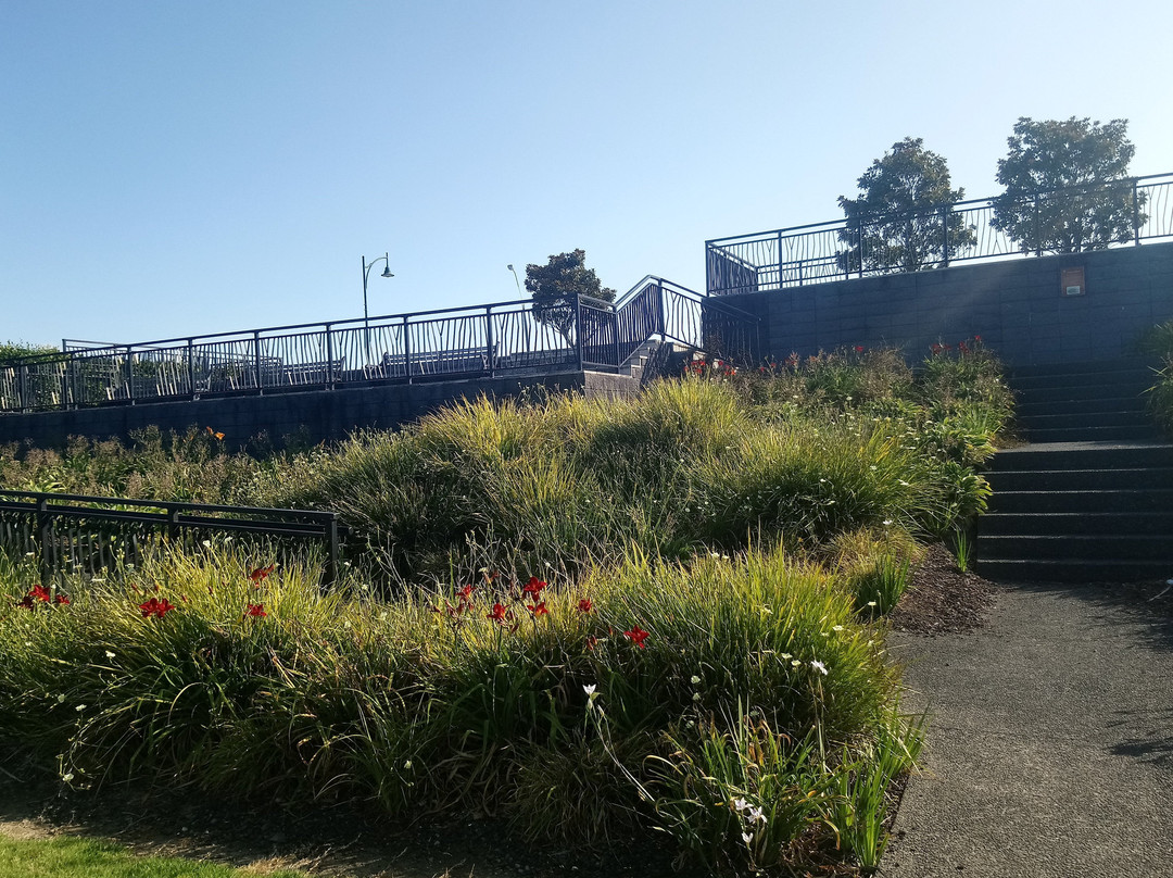 Crawford Reserve-Howick必去景点