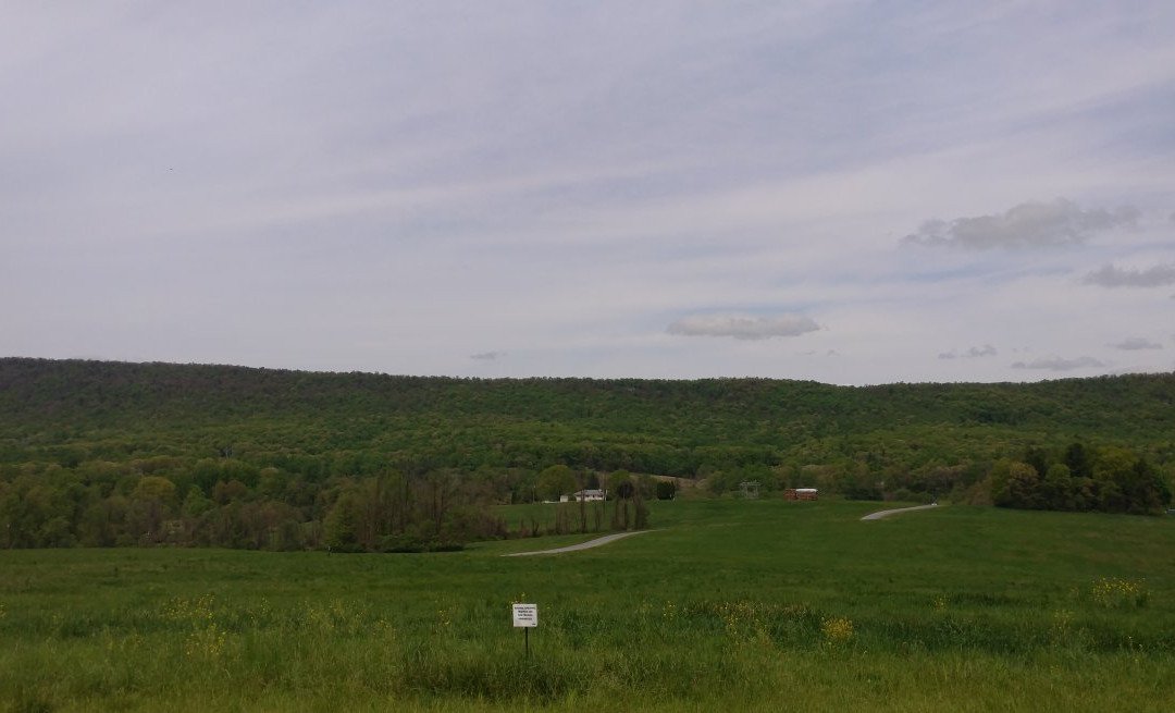 Boyd Big Tree Preserve Conservation Area-哈里斯堡必去景点