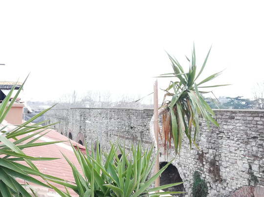 Valens Aqueduct (Bozdogan Kemeri)-伊斯坦布尔必去景点