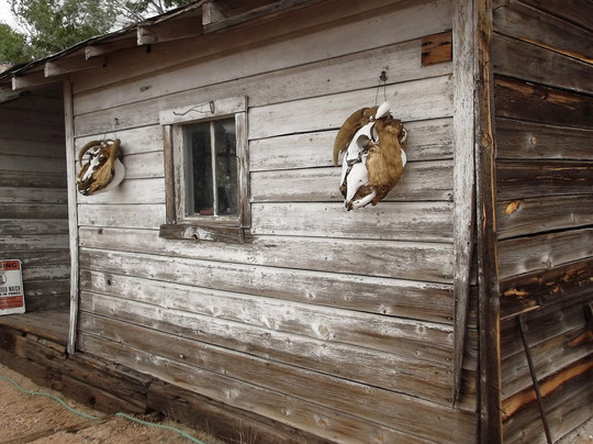 汉克百瑞综合商店-Hackberry必去景点