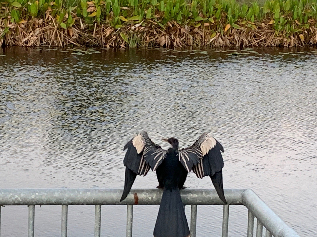 John Yarbrough Linear Park-迈尔斯堡必去景点