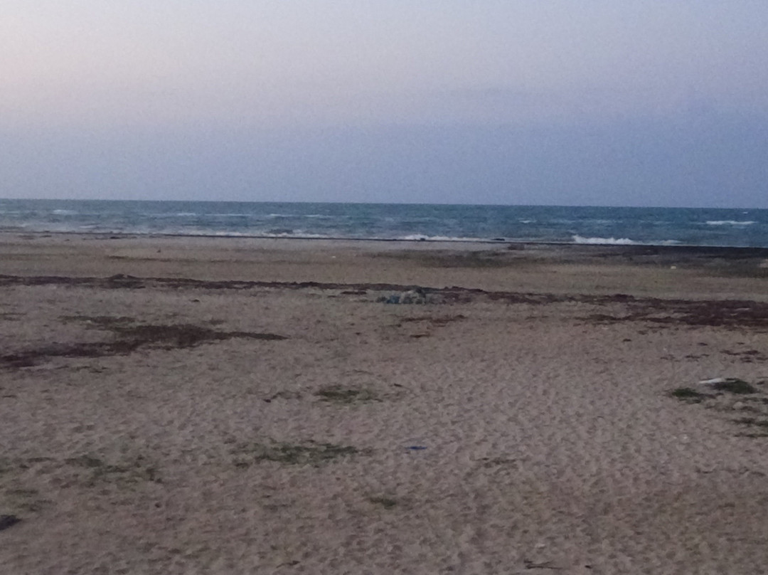 Talaimannar Beach  Gardens