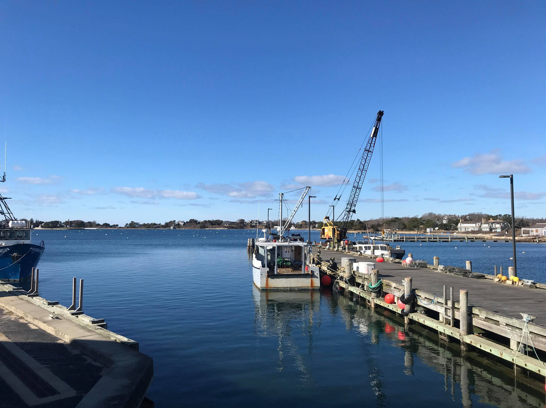 Woods Hole Science Aquarium景点图片