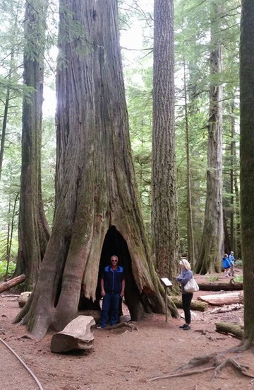 Explore Vancouver Island-纳奈莫必去景点