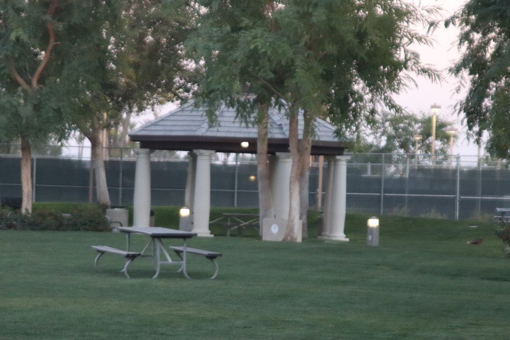 Rancho Mirage Community Park-兰乔米拉必去景点