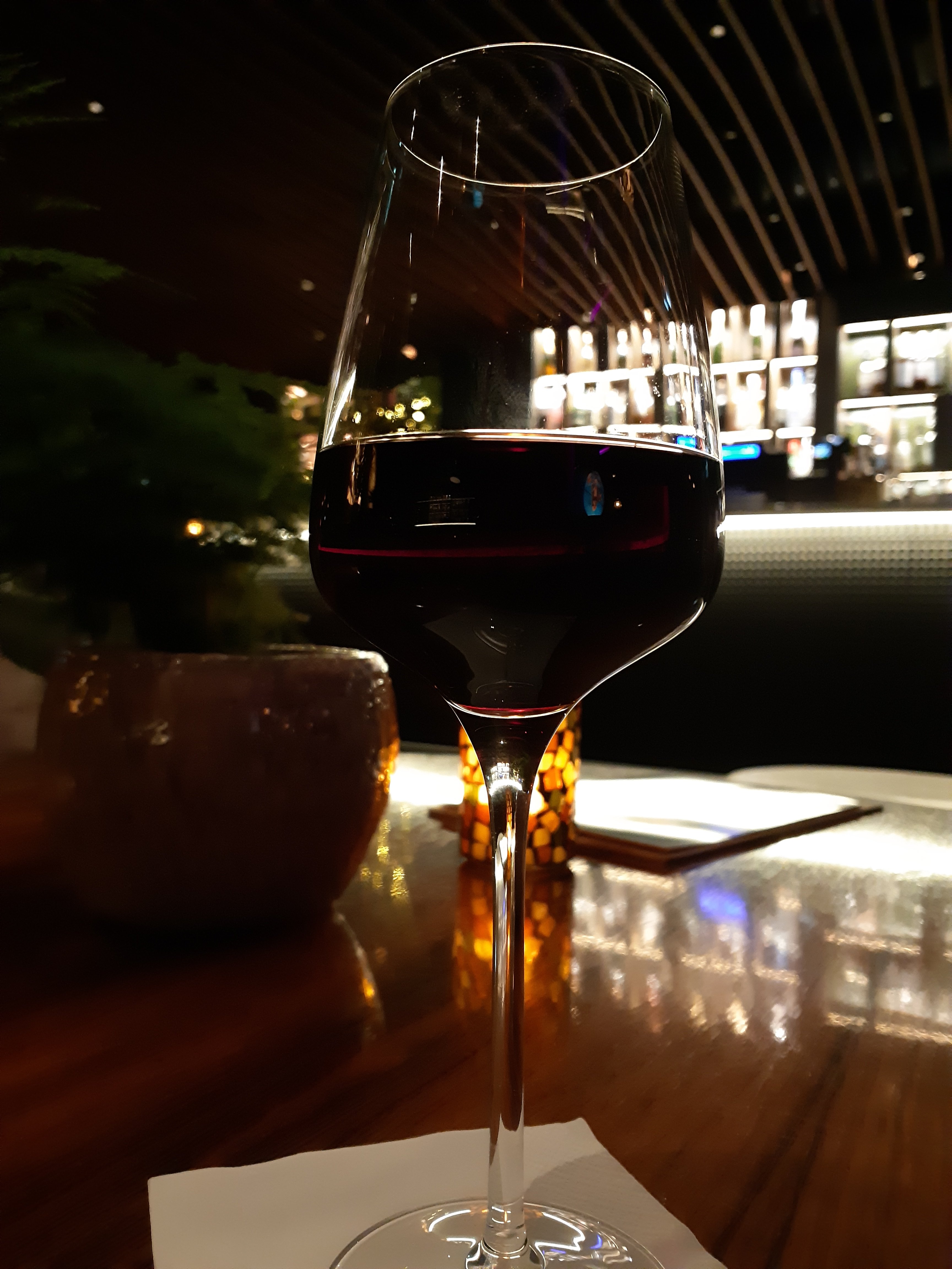 克里斯蒂安桑德拉蒂森蓝色加里酒店-portrait