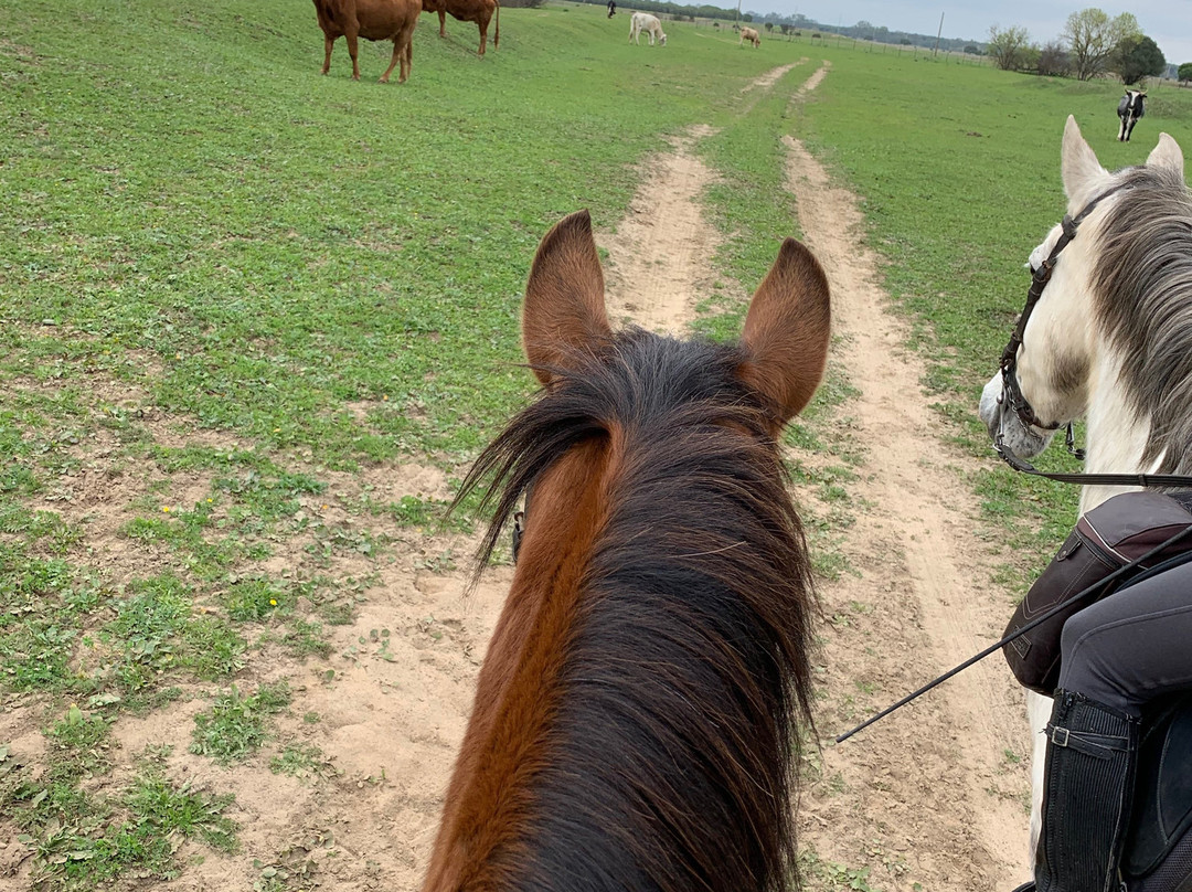 Donana Horse Adventure景点图片