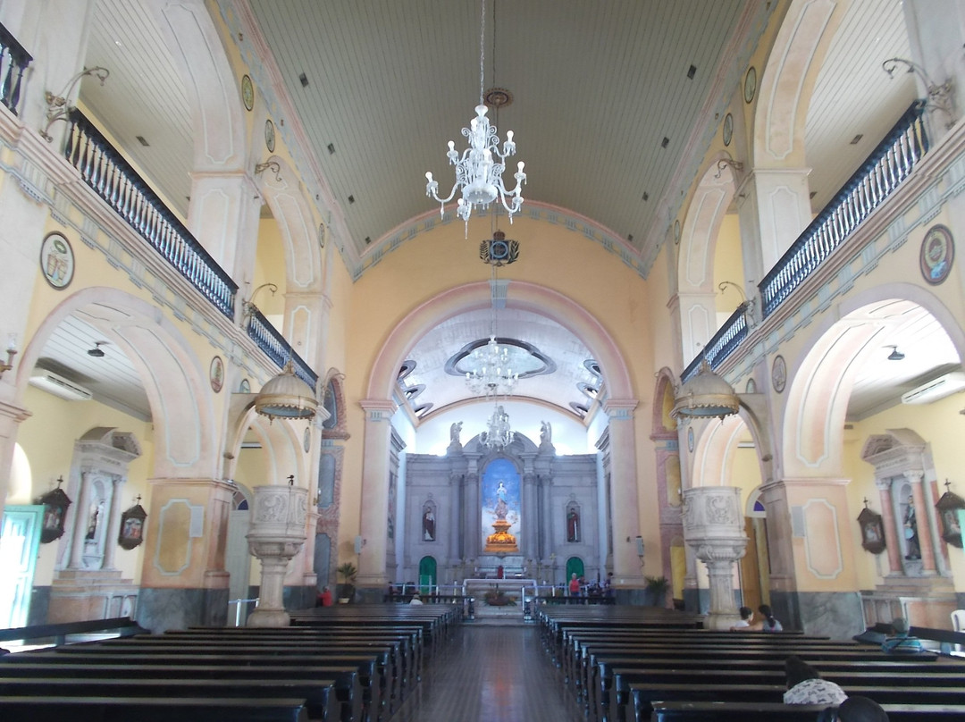 Catedral Metropolitana de Manaus-玛瑙斯必去景点