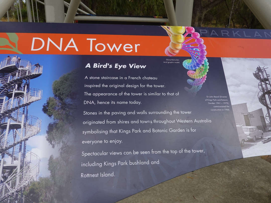 DNA Tower Climb-珀斯必去景点