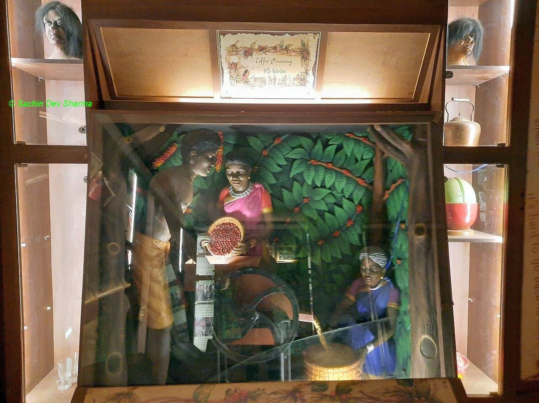 Coffee Museum-Araku Valley必去景点