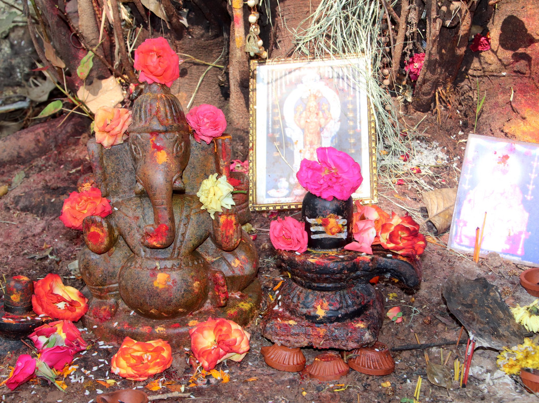 Shree Dodda Ganapathi Temple景点图片