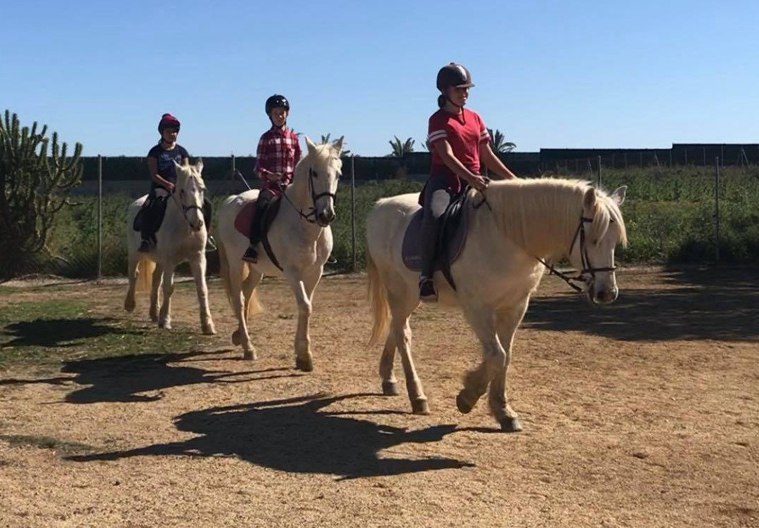 Trex Andalucia-图雷必去景点