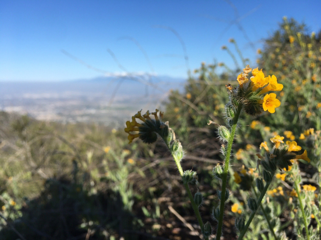 Zanja Peak Trail-Yucaipa必去景点