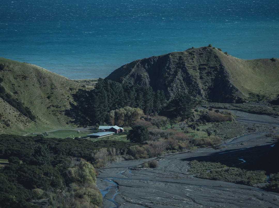 Kawakawa Station Walk