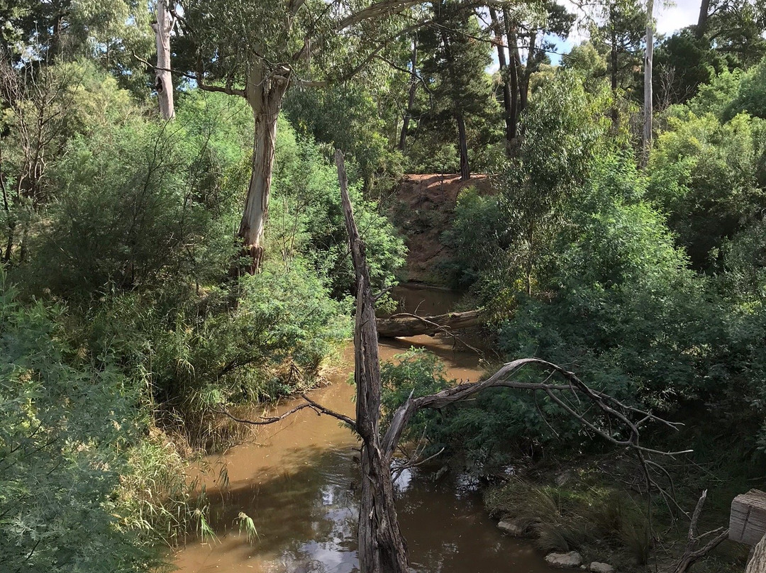 Eltham north reserve景点图片