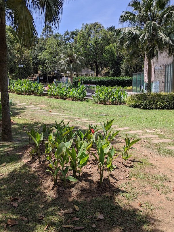 Putrajaya Botanical Garden景点图片