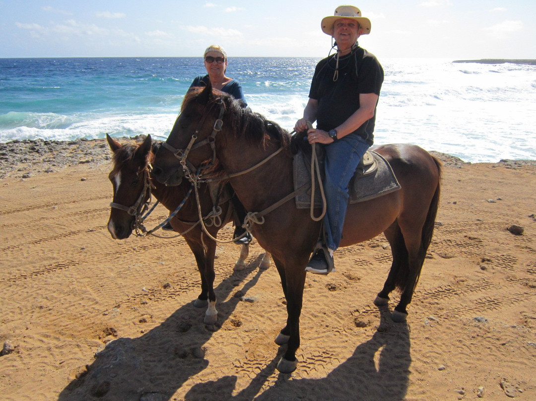 Rancho La Ponderosa-Paradera必去景点