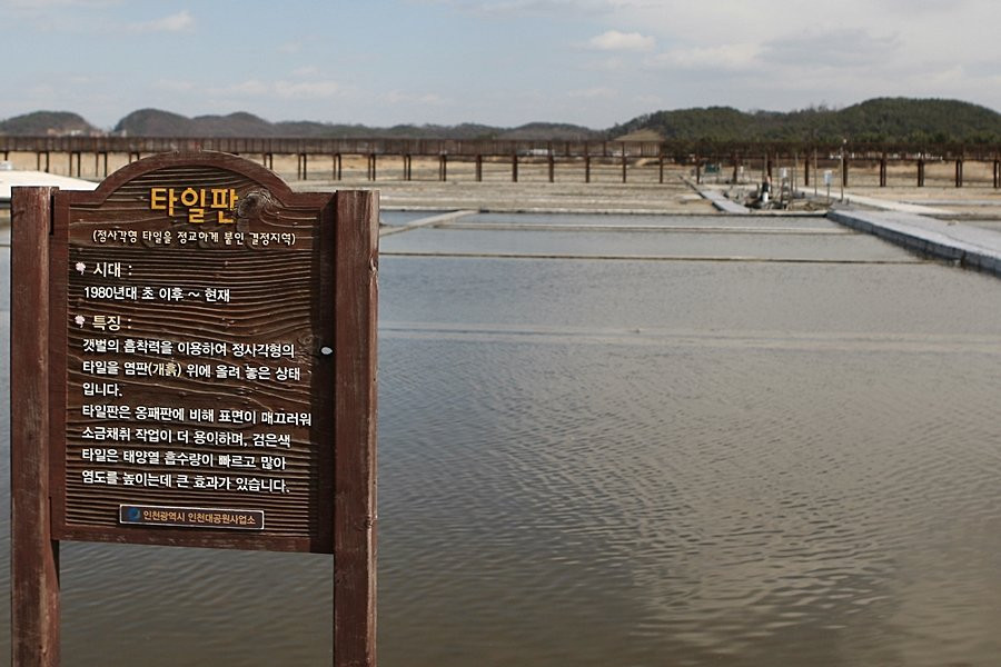 Sorae Ecology Park-仁川必去景点