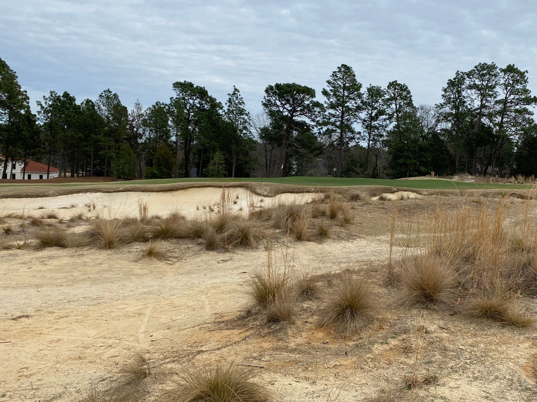 Pinehurst Course Number 4景点图片