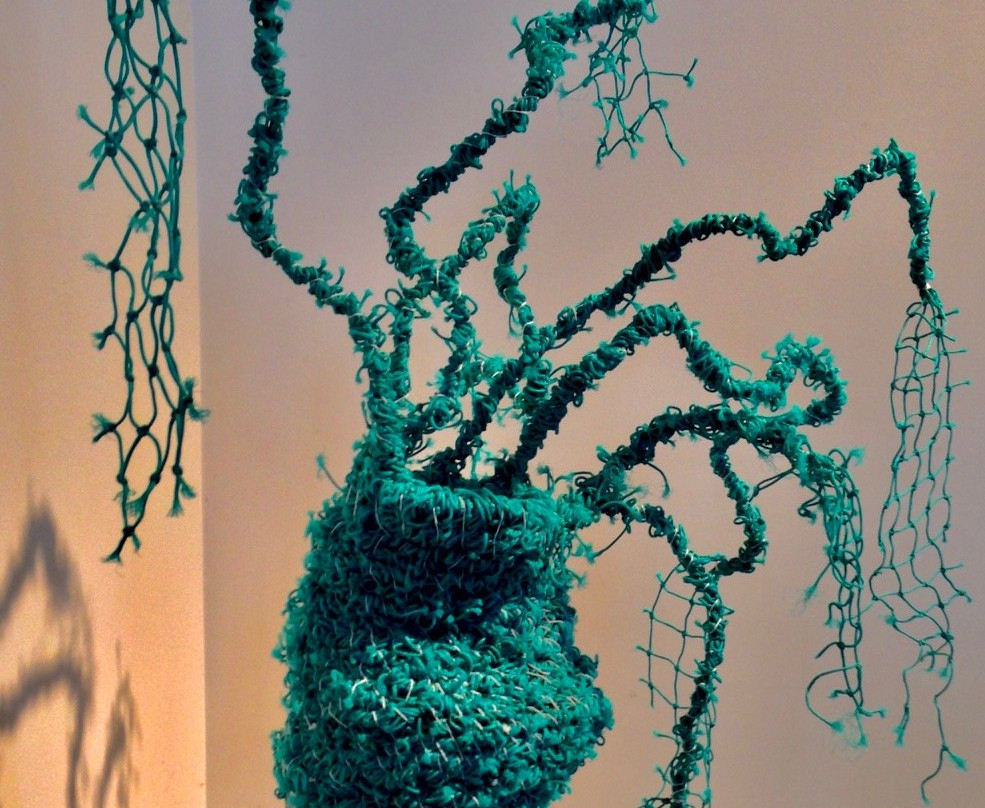 Fine Art Kangaroo Island-金斯科特必去景点